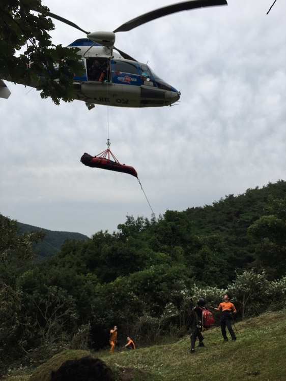 벌 쏘임 환자 소방헬기로 구조