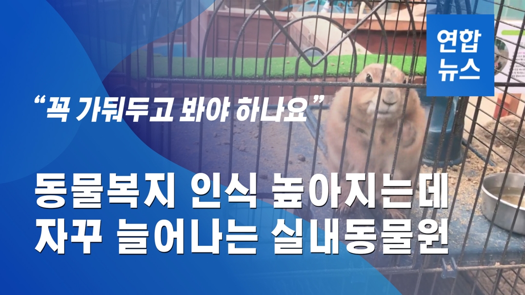 [이슈 컷] 동물복지 인식 높아지는데…늘어나는 실내동물원 - 2