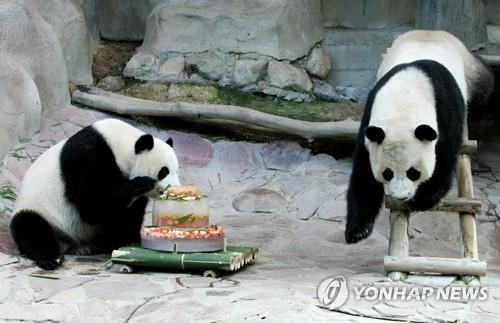 치앙마이 동물원에서 생활하던 촹촹과 린후이(2005년 촬영)