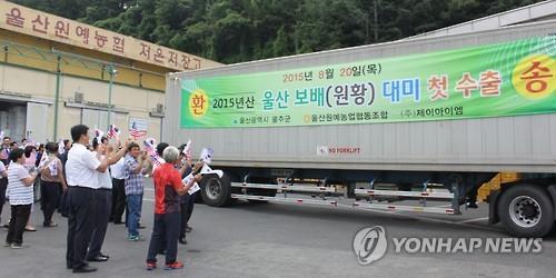 울산배 수출 장면