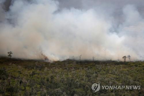 인도네시아의 산불 현장