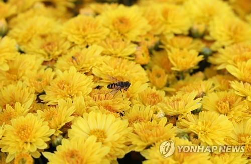 "먼저 왔어요."