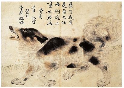 조선 영조 때 궁중화가 김두량의 삽살개 그림