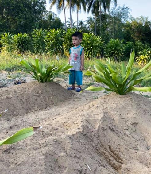 부모 무덤 바라보는 말레이시아 두 살배기