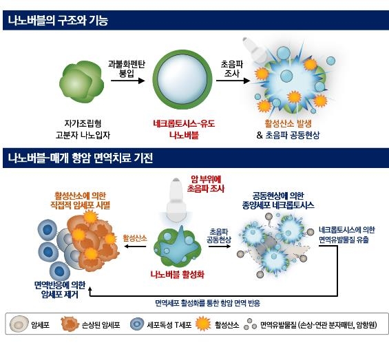 나노 기포의 암 치료 기전 모식도
