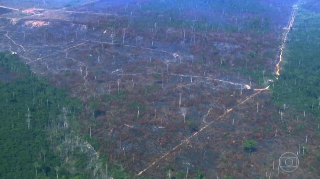 아마존 열대우림 파괴 현장 [브라질 뉴스포털 G1] 