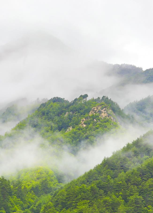 양원마을의 배바위산 [사진/성연재 기자]