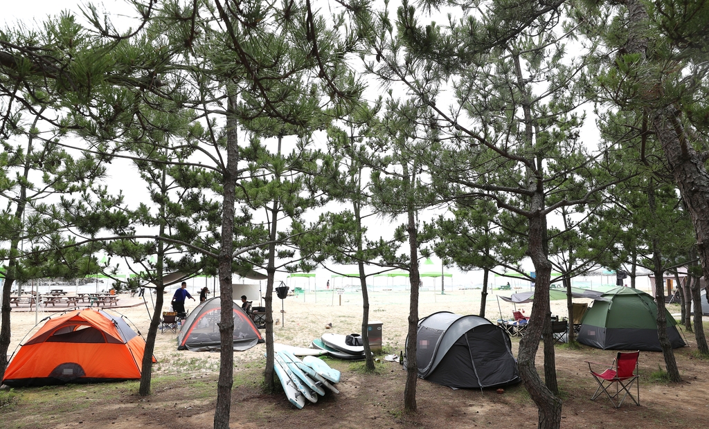 동해안 작은 해변의 거리 두기 캠핑 인기. 2020년 강원 동해안의 한 해변