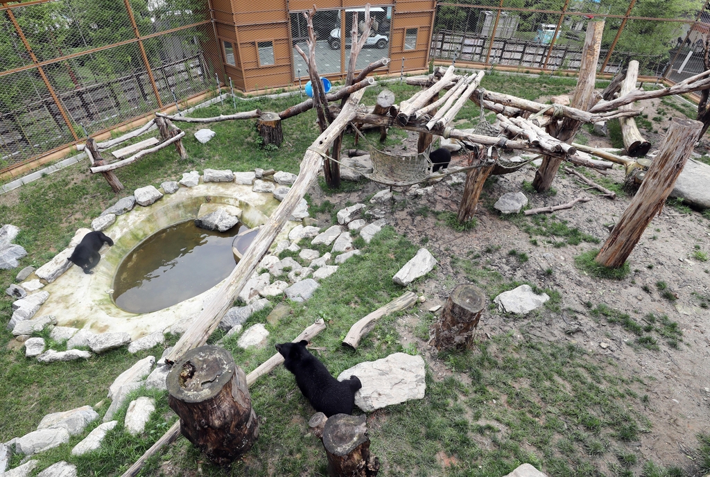 청주동물원 반달가슴곰 방사장