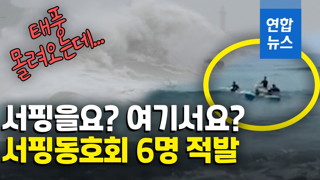[영상] '간 큰 사람들'…태풍주의보에도 서핑은 포기 못해 - 2