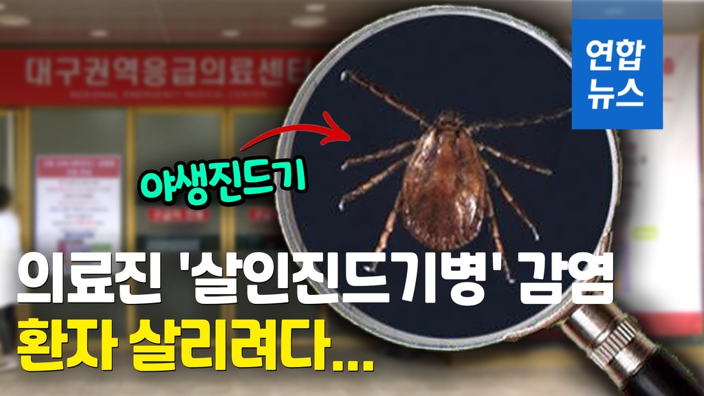 [영상] 환자 살리려다…의료진 '살인진드기병' 집단 감염 - 2