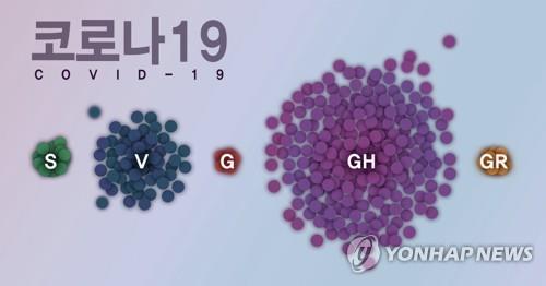 국내 유행 코로나19 바이러스 그룹 (PG)
