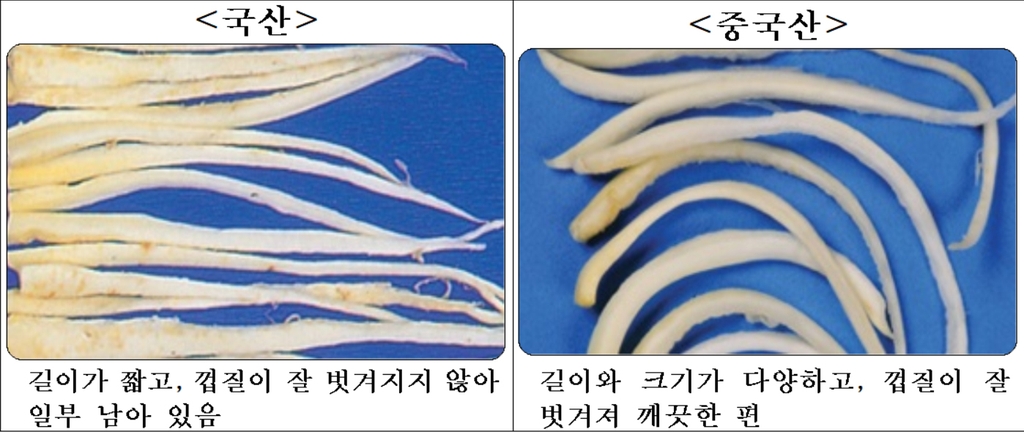 국산과 중국산 도라지 식별법