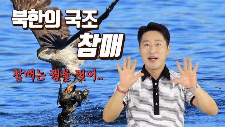 [연통TV] 북한이 나라 새 '참매'를 부각하는 이유는? - 3