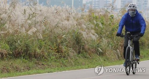 청주 가을 억새