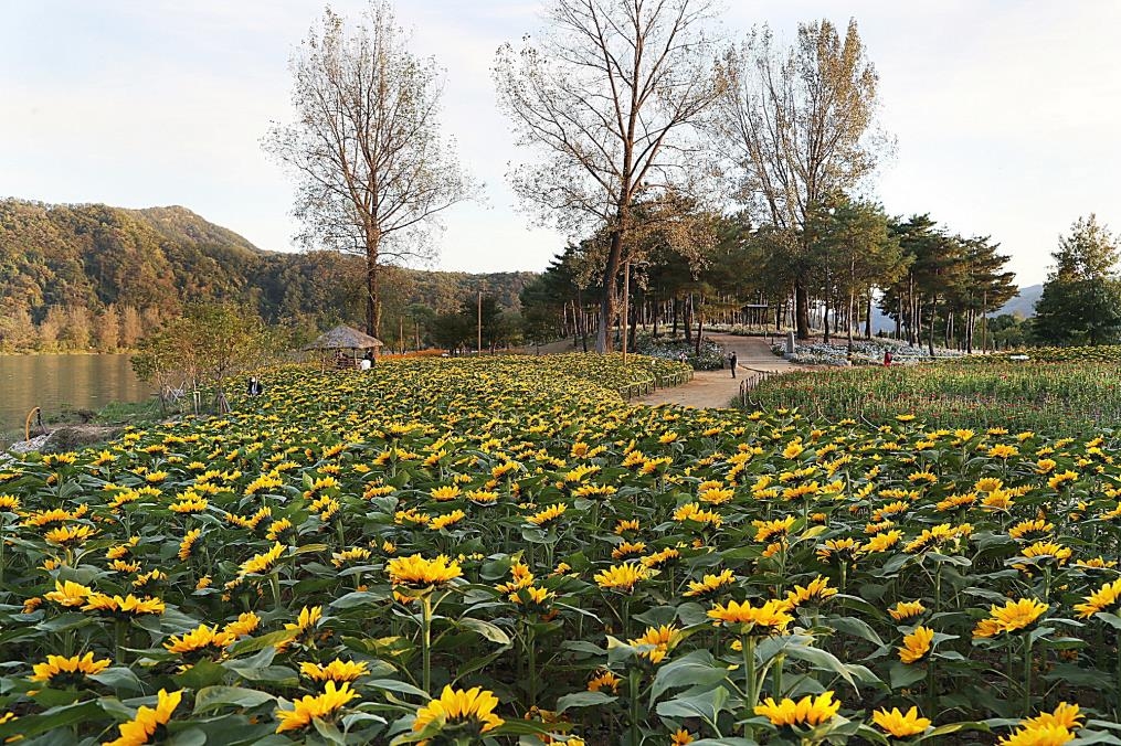 가평 자라섬 남도 꽃 정원