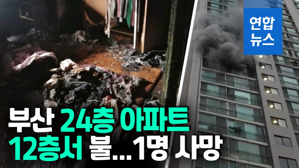 [영상] 부산 아파트 12층서 화재…아버지 사망, 고3 아들은 병원이송 - 2