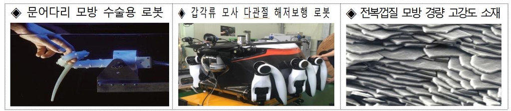 해양생물을 모방한 융복합 신소재 개발 예시