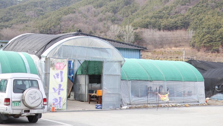 미나리를 현장에서 구워 먹을 수 있는 비닐하우스 [사진/성연재 기자]