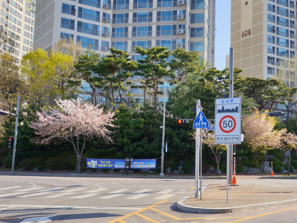 속도 제한 표시
