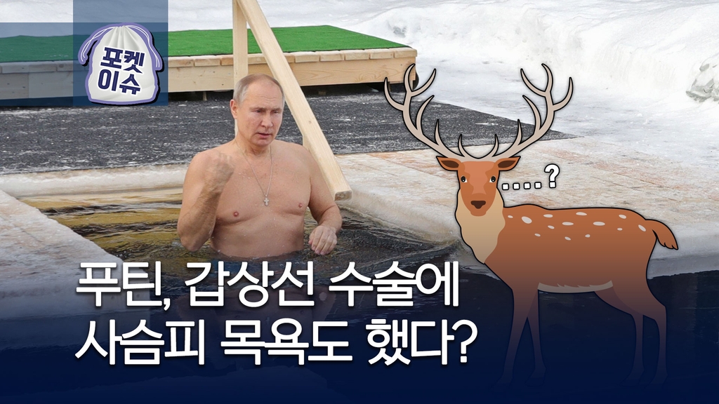 [포켓이슈] "푸틴, 갑상선 수술받고 사슴피 목욕도 했다" - 1