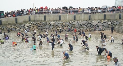 서산 삼길포서 24∼25일 우럭축제…체험행사도 다채