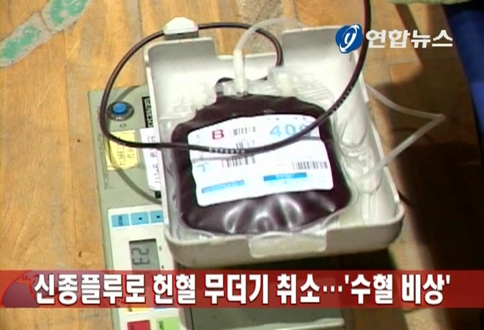 신종플루로 헌혈 무더기 취소…`수혈 비상'
적십자, 신종플루 대유행 대비 혈액수급책 긴급 논의
(서울=연합뉴스) 황철환 전성훈 기자 = 신종플루가 확산하면서 헌혈이 줄어든 탓에 혈액 수급에 비상이 걸렸다. 2일 대한적십자사 혈액관리본부와 서울 시내 혈액원에 따르면 최근 개학한 각급 학교에서 단체헌혈 행사를 잇달아 취소하고 있으며, 개인들도 가벼운 감기 증상만 보여도 부적격자로 분류돼 헌혈자 수가 크게 줄고 있다. 혈액관리본부가 집계한 7월과 8월의 헌혈자 수는 각각 22만712명과 20만8천831명으로 지난해 같은 기간에 비해 2만여명씩 늘어났다. 이는 헌혈의 집을 통한 개인 헌혈이 지난해보다 25% 가량 증가한 데 따른 것이다. 하지만, 각급 학교의 신학기가 시작된 이달 들어서 단체헌혈이 줄줄이 취소돼 헌혈이 감소세로 반전할 것으로 전망된다.
실제로 서울 동부혈액원 관내에서는 5개 고등학교가 단체헌혈을 할 예정이었으나 신종플루 우려 때문에 최근 헌혈을 취소했으며 군부대나 기업들도 헌혈일정을 취소하거나 연기하려는 움직임을 보이고 있다. 이 혈액원 관계자는 "단체행사를 하지 말라고 하니 학교에서 헌혈마저 취소하고 있다. 우리 혈액원은 단체 헌혈 비중이 70%를 차지하는데 군부대도 못 들어가고 있다. 더 확산하면 일선 병원에서 혈액이 부족해지지 않을까 걱정이다"라고 말했다. 개인 헌혈자도 감소해 남부혈액원은 "단체 헌혈에 신경을 많이 쓰고 있지만 신종플루 때문에 목감기만 걸렸다고 해도 헌혈을 받지 않는다. 이 때문에 최근 20% 정도 헌혈자 수가 줄어든 것 같다"라고 전했다.
혈액관리본부는 가을철로 접어들면서 일교차가 심해지면 신종플루가 더욱 확산하면서 혈액 수급에 차질이 발생할 것을 우려해 대책 마련에 애쓰고 있다.
이 본부는 전국의 각 혈액원에 공문을 보내 몇 개 학교나 단체가 헌혈을 취소했는지 파악할 것을 지시했으며, 오는 9일에는 혈액원 담당자를 모아 신종플루 대유행 시 혈액 수급 대책 마련을 위한 워크숍을 열 예정이다.
혈액관리본부 관계자는 "1천만명이 감염된다는 전망이 나와 학교 등의 단체헌혈이 급감하고 개인 헌혈에도 타격이 우려된다. 예전에는 혈액 보관기한에 따른 폐기 문제를 걱정했는데 지금은 재고를 더 늘려야 한다"라고 말했다. 혈액 부족 사태가 우려되자 서울 서초구는 2일 청사 로비에서 `사랑의 헌혈 릴레이' 행사를 하기로 했다.
박상영 구 총무과장은 "신종플루가 가을에 더 확산해 혈액 수급이 곤란해질 것을 대비해 봉사와 의무 차원에서 대규모 헌혈행사를 하게 됐다. 헌혈자들에게 헌혈증서를 기부받아 백혈병이나 소아암, 혈액암 환자들에게 전달할 예정이다"라고 말했다. hwangch@yna.co.kr
cielo78@yna.co.kr