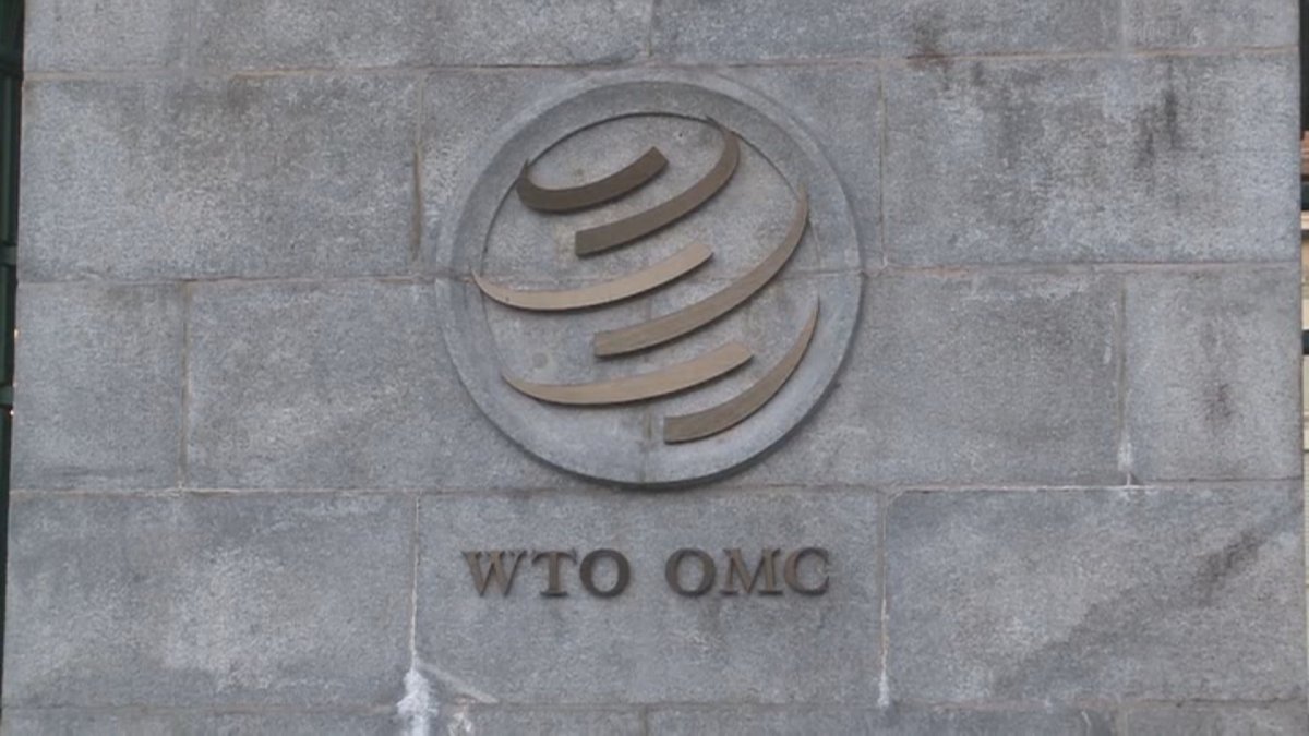 日언론 "WTO, 일반이사회서 日수출규제 논의키로"