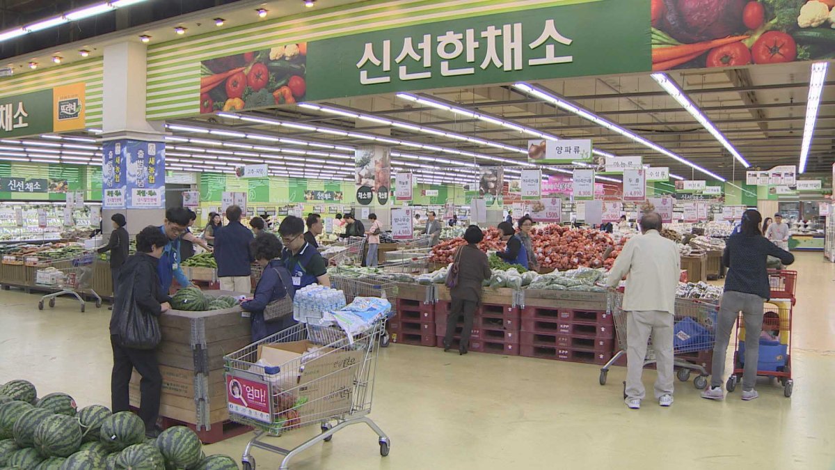 1인 가구 급증에 식료품 지출비중 '반토막'…교육비도 감소
