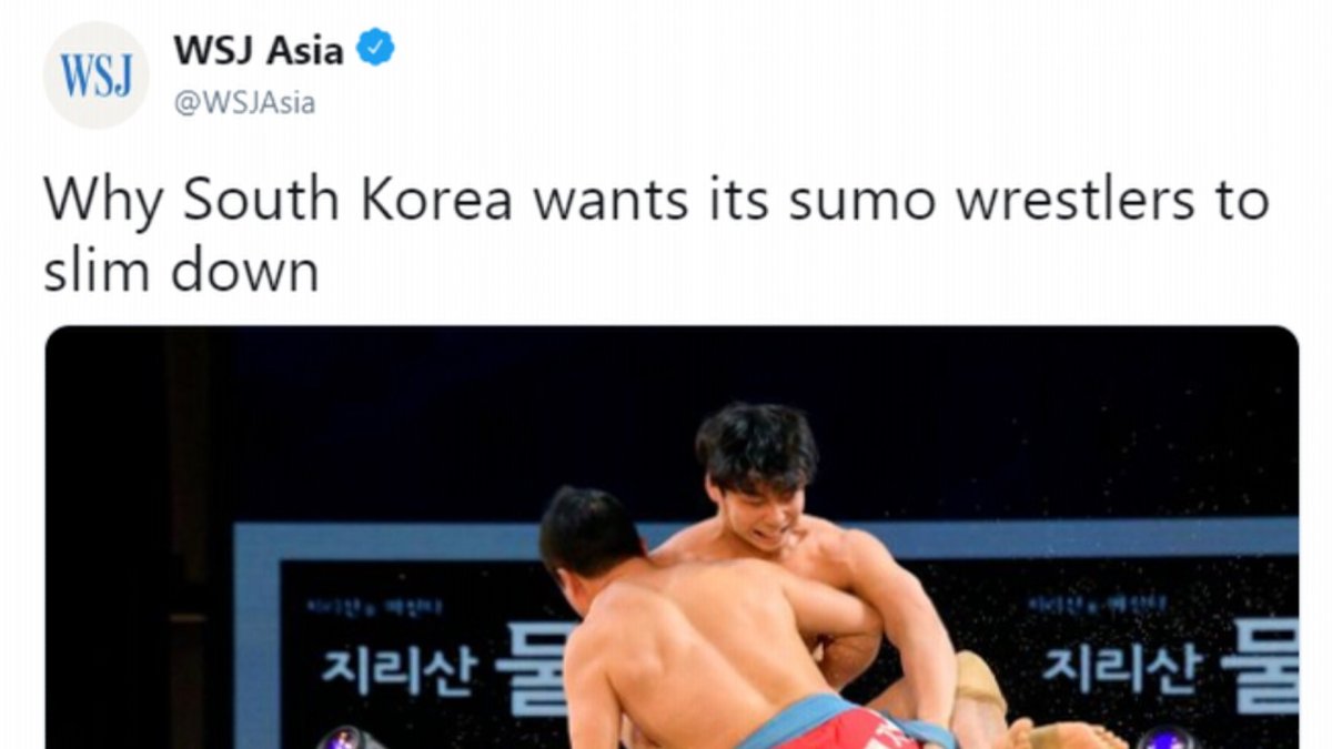 "씨름이 영어로 스모" 美 WSJ 오기 뒷말