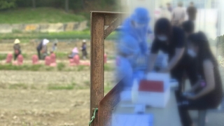 가뜩이나 일손 부족한데…농번기 외국인 집단감염 비상