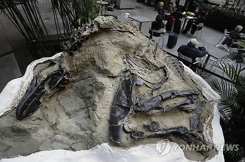 공룡 화석(AP=연합뉴스 자료사진)