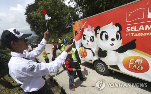 "판다야 반가워"