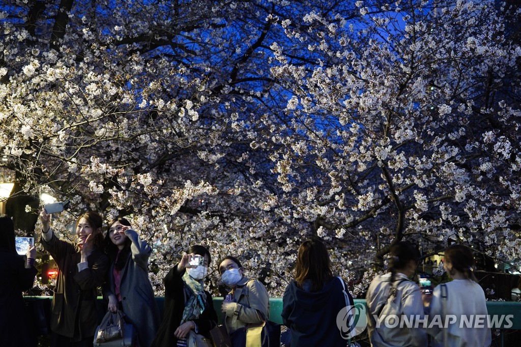 코로나19 유행에도 벚꽂 구경하러 온 일본 도쿄 시민들