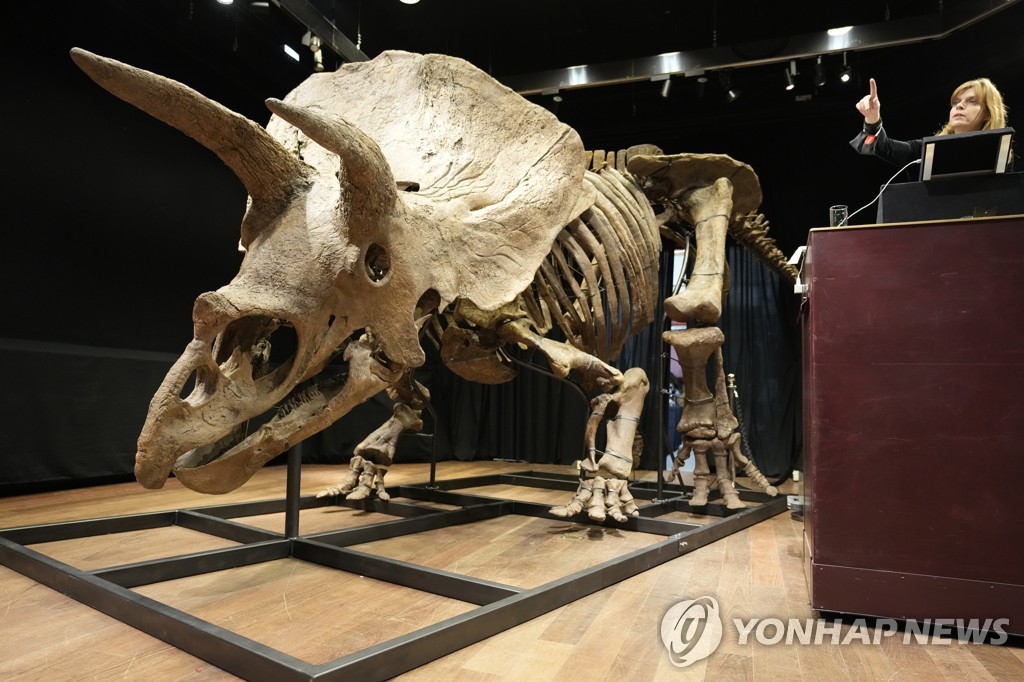 France Triceratops