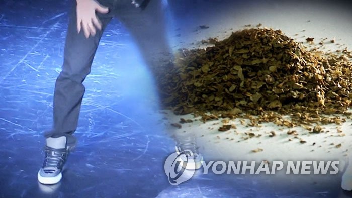 대마 사범 무더기 검거