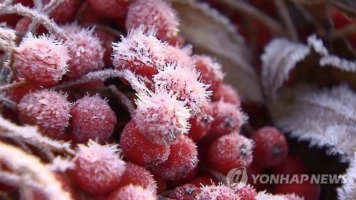 서리