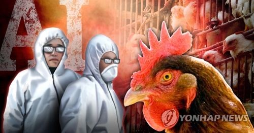 조류인플루엔자(AI) (PG)