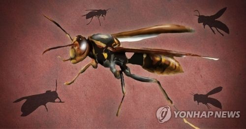 말벌 사고(PG)