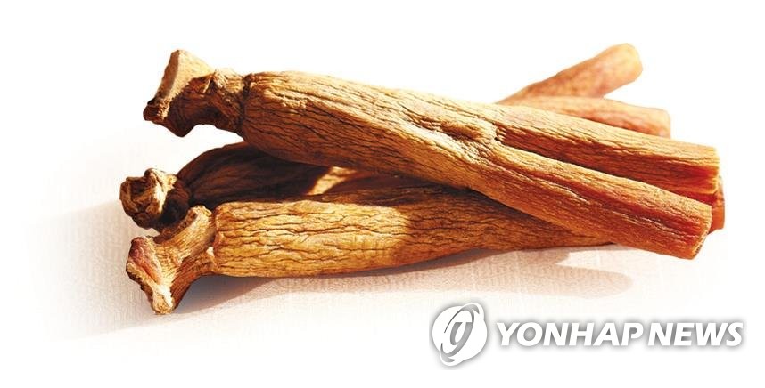 홍삼