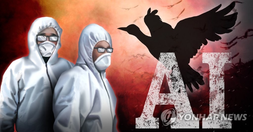 야생 조류바이러스(AI) (PG)
