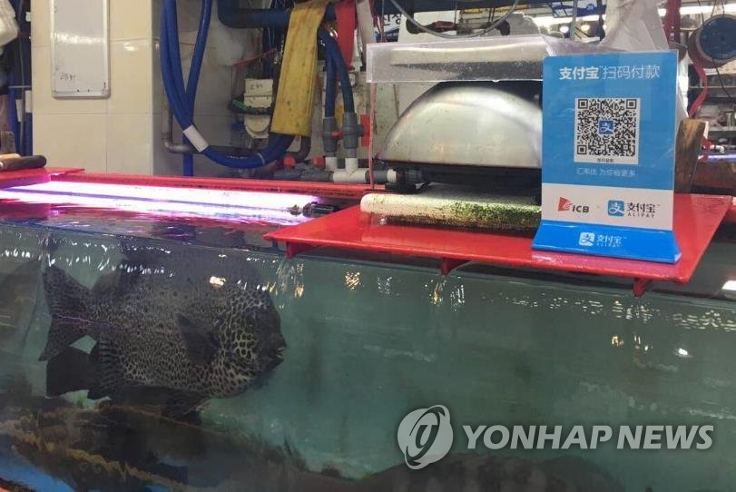 알리페이 결제 시스템