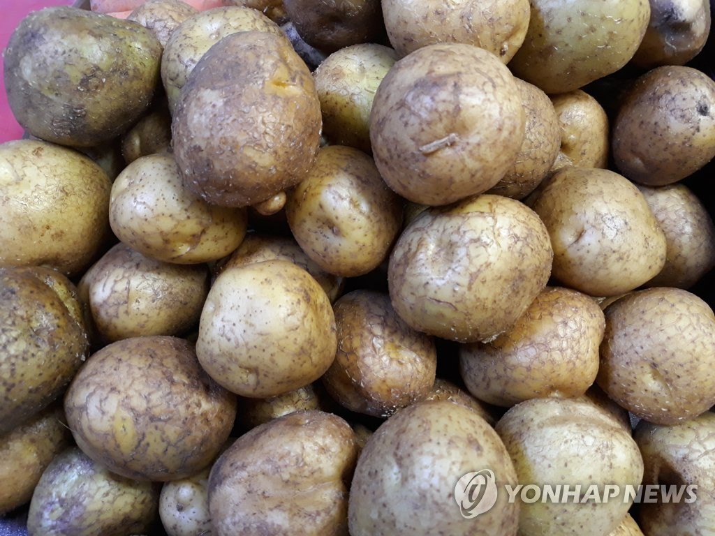 감자