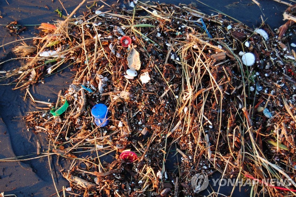 플라스틱 쓰레기로 오염된 바다