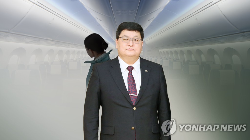 몽골 헌법재판소장과 수행원 대한항공 기내에서 승무원 성추행(CG)