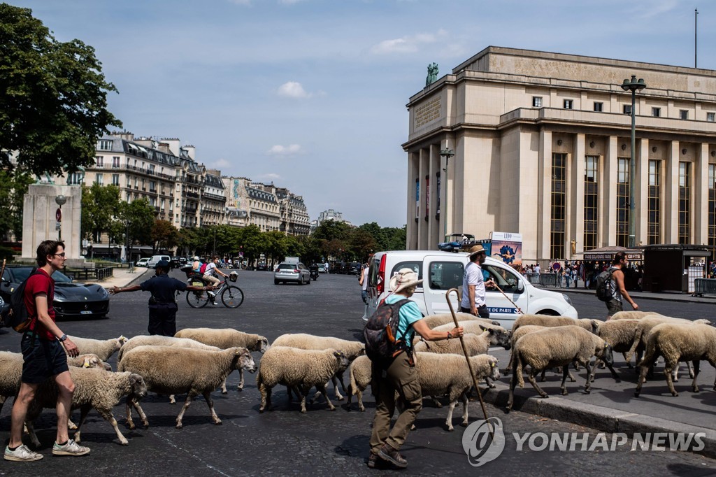 FRANCE-FARMING-AGRICULTURE-CITY-SHEEP