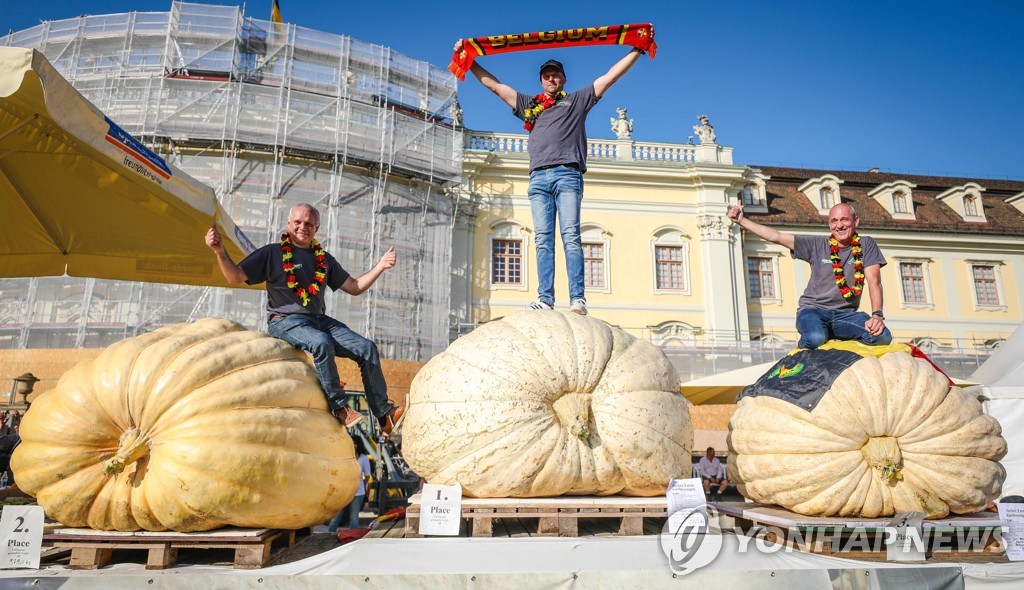 GERMANY-BELGIUM-PUMPKIN-CONTEST