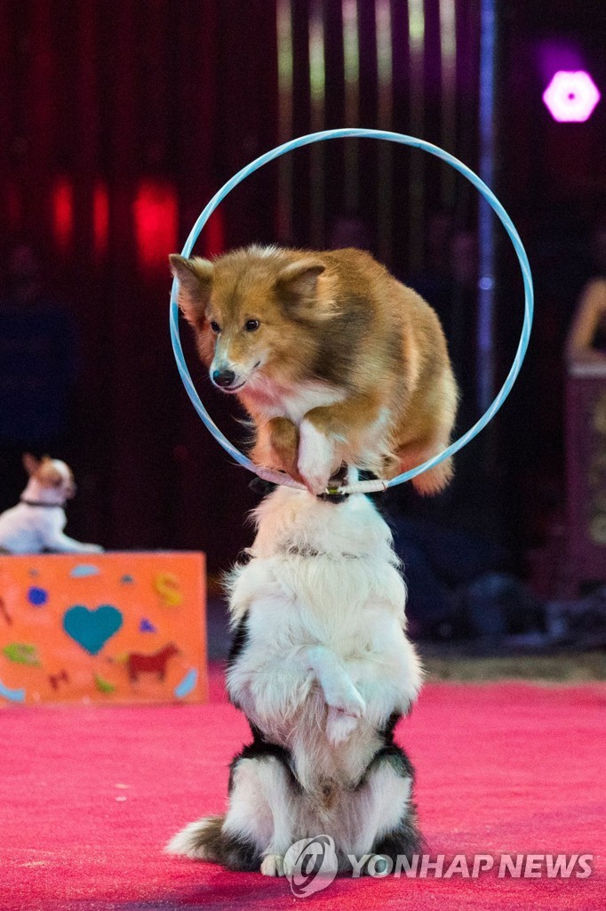MONACO-CIRCUS-FESTIVAL