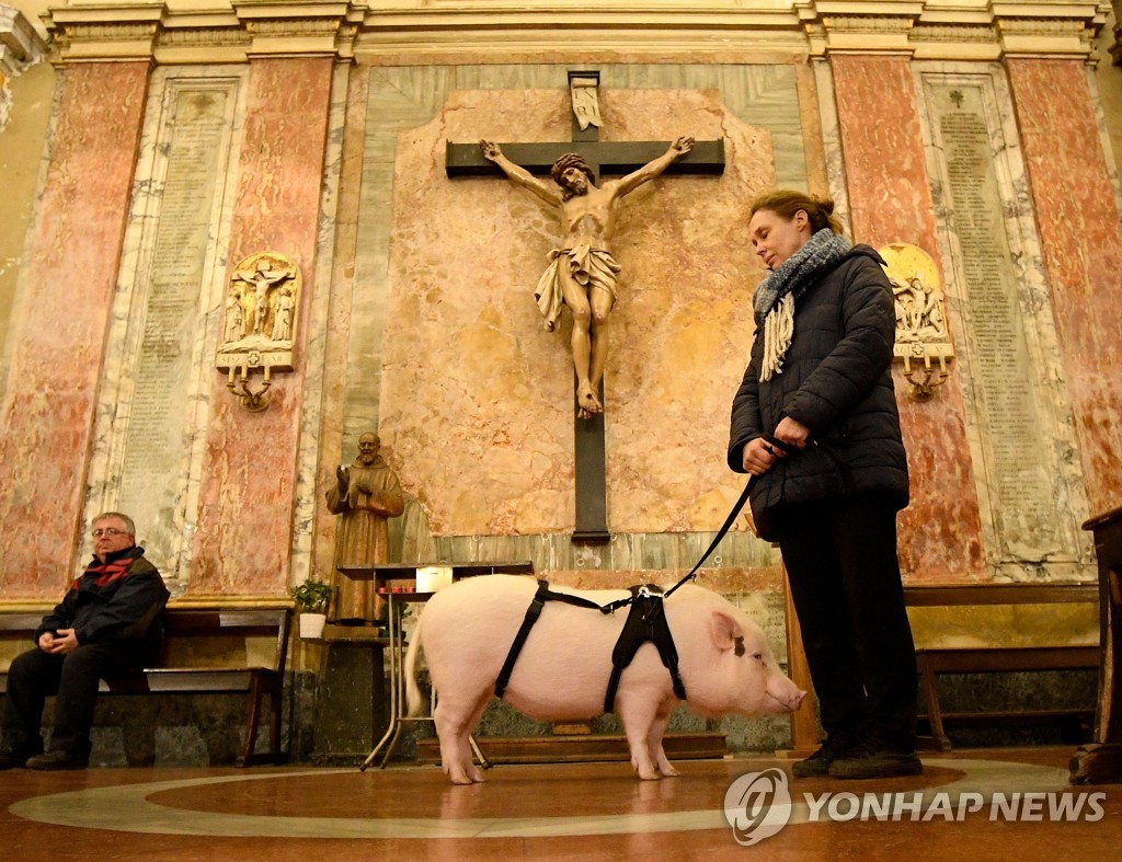 ITALY-RELIGION-ANIMAL-BLESSING