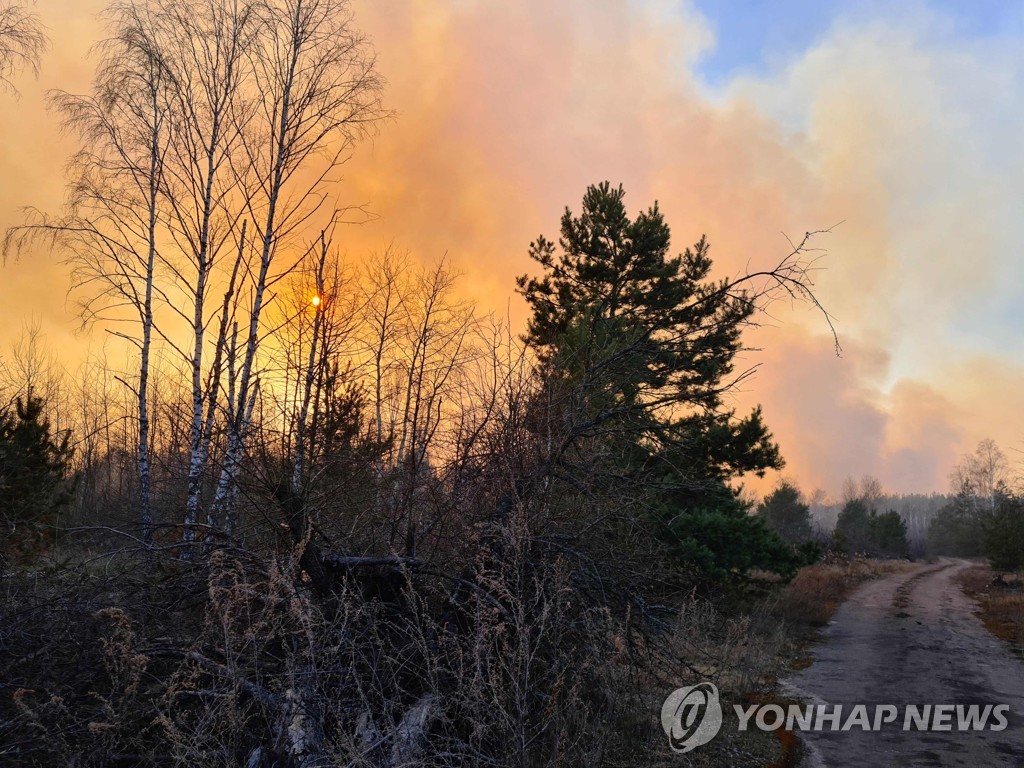 UKRAINE-DISASTER-FIRE